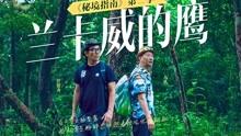 颈部按摩器到底有没有用？四大隐患危害要防范！