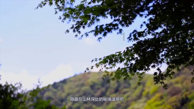 国网重庆彭水供电公司：点亮春运回家路