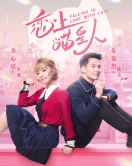 果冻分裂