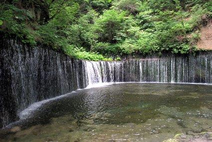 春雨直播app